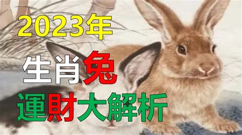 2023年 屬|2023「十二生肖財運、犯太歲、運勢」！屬兔犯太歲。